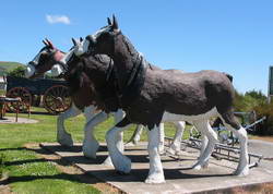 The three Clydesdales at Clinton