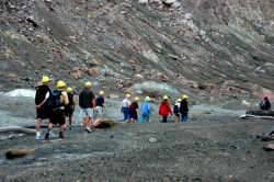 Explore the active volcano on White Island