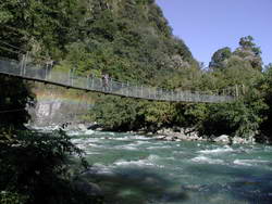 The Hidden Creek Swing Bridge - Fiordland's longest swing bridge