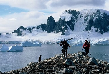 Skiers and penguin in Antarctica