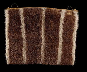 Kahukiwi (kiwi feather cloak)
