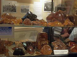 Kauri Gum