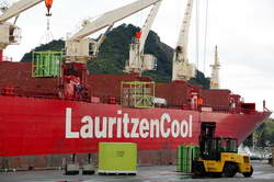 Loading the huge shipment of kiwifruit