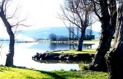 Lake Waihola