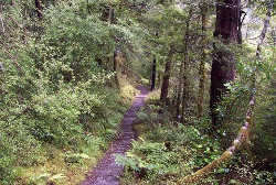 The Lake Daniels Track