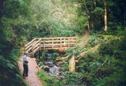 One of the stream crossings