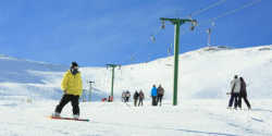 Mt Dobson � bluebird opening day