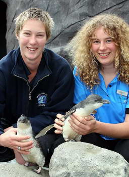 Marineland keeper Pauline Conayne, left, and Antarctic Ranger Joanne Rapley