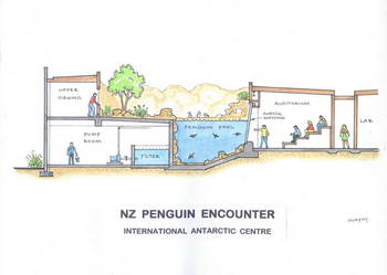 Diagram showing the Penguin Encounter