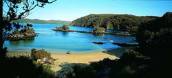 Port Pegasus Stewart Island