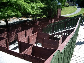 The famous maze