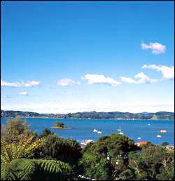 View from Sanctuary Palms