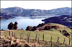 The Akaroa area today viewed from the Lighthouse Road