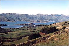 Onawe Peninsula today