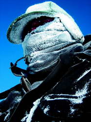 Worker, Antarctica