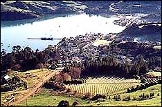 Akaroa from the Lighthouse Road