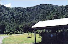 The picnic area in midsummer