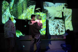 Mighty River Exhibition.