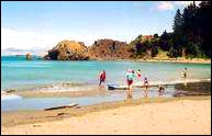 The beach at Whites Bay
