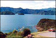 Looking out from Karaka Point
