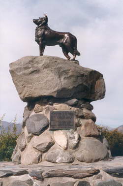 Bronze sculpture of the sheep dog