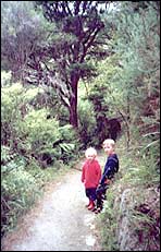Bush Walk