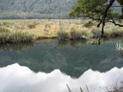 Reflections in Mirror Lake