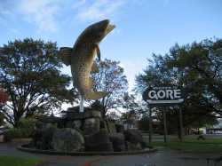 Welcome to Gore World Capital of Brown Trout Fishing
