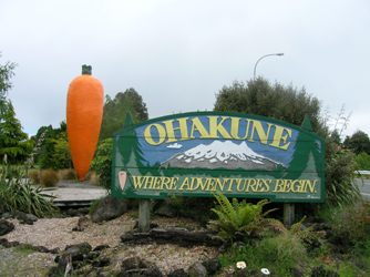 Ohakune carrot