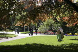 Visitors enjoy the Copper Beech tree with the bedding display beneath