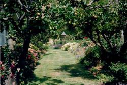 Looking down the path to the dovecote