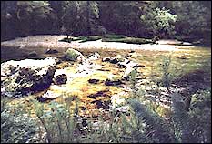 Gold pebbles in the Clinton River