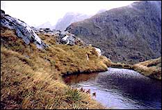 A tarn at the top of the Mackinnon Pass