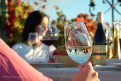 Sipping Martinborough Vineyard Sauvignon Blanc in the sun