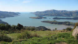 overlook the harbour