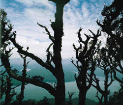 Lake Waikaremoana from Panekiri Bluff