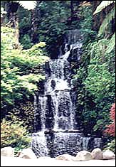 Manmade waterfall at Pukekura Park