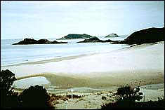Ocean Beach