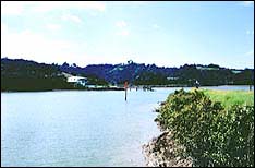 Parua Bay Tavern