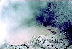Mud pool at Kuirau Park