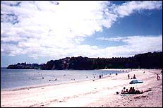 Beach at Shakepear Park, Boxing Day