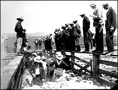 A sheep sale with buyers and workers all wearing hats of the day