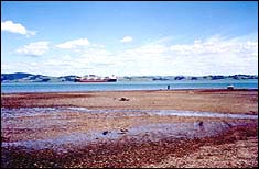 Ship in the harbour