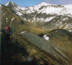 Sidling around Mt Luxmore