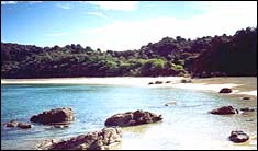 Te Pukatea Bay