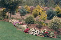 One of the beds near the tennis court