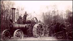 Traction engine removing trees.  (Note the shoes on the wheels.)