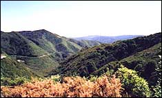 A View From The Top Of The Rimutakas