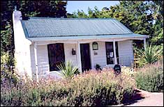 Early Cottage In Greytown