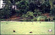 A Great Picnic Place - Dannevirke Memorial Park